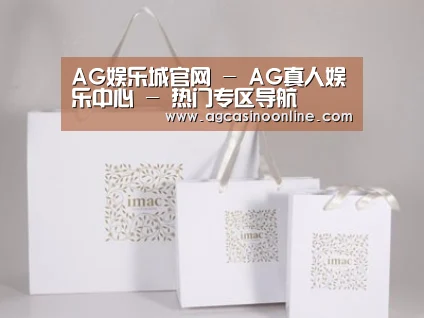 项目名称十一