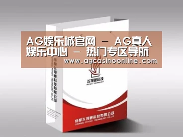 项目名称十三