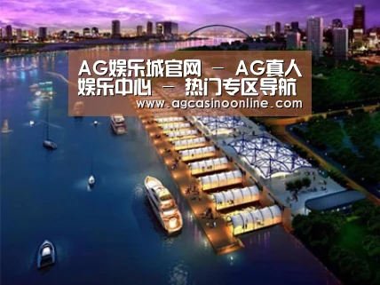 案例展示八